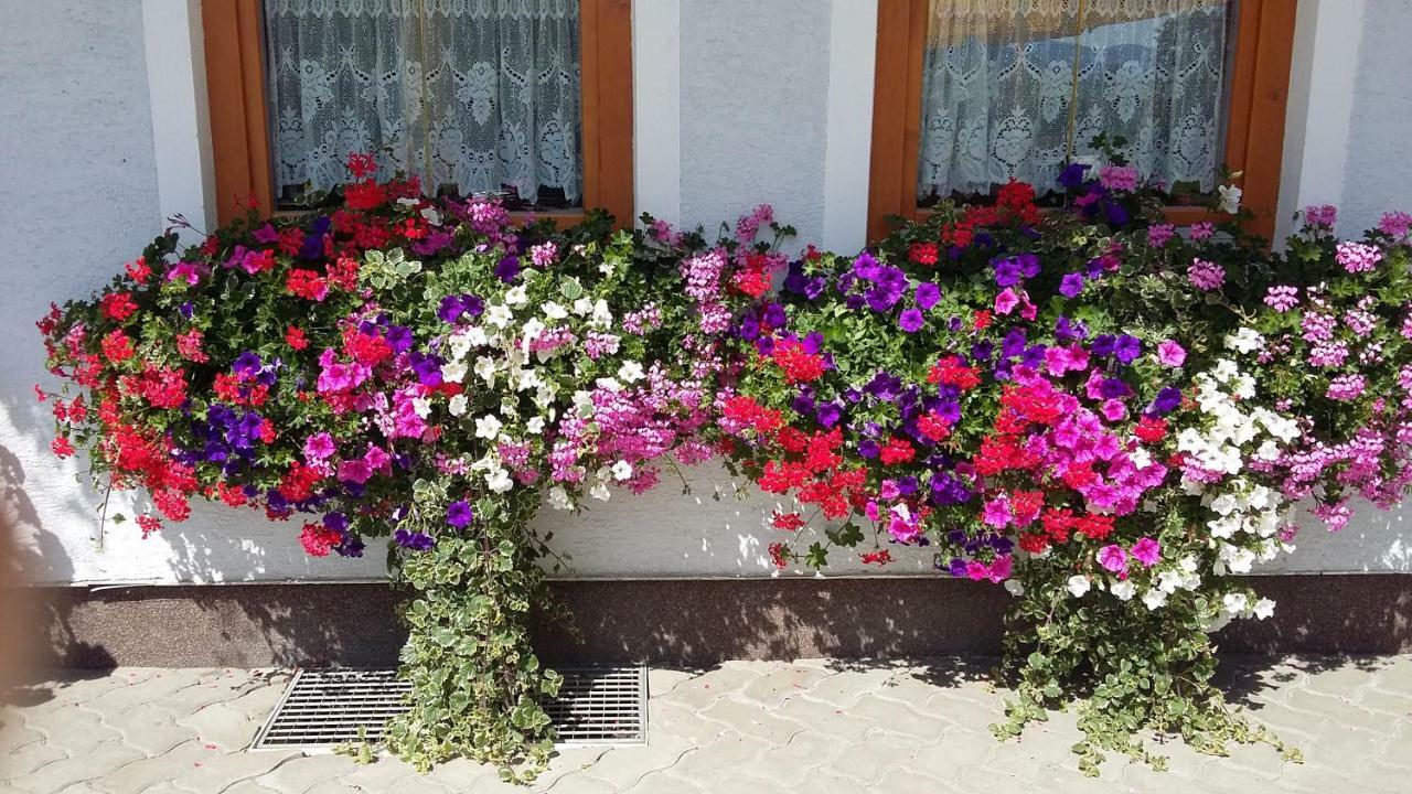 Haus Edlinger Inclusive Murau Sommer Gaeste Card ซังคท์เกออร์เกน อ็อบ มูเรา ภายนอก รูปภาพ